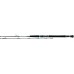 Daiwa Saltiga rod spinning jigging SLTGJ58XXHB